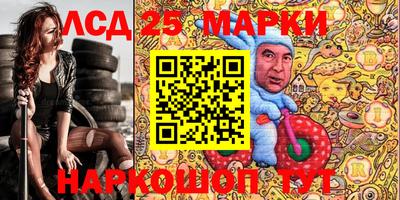 прущие грибы Будённовск